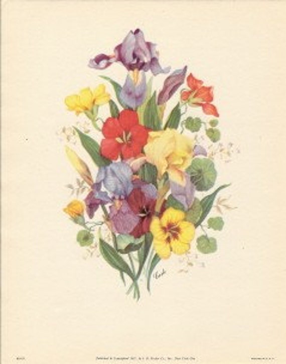 Vintage floral ART PRINT 1947 by CARLE iris by nancesnostalgia