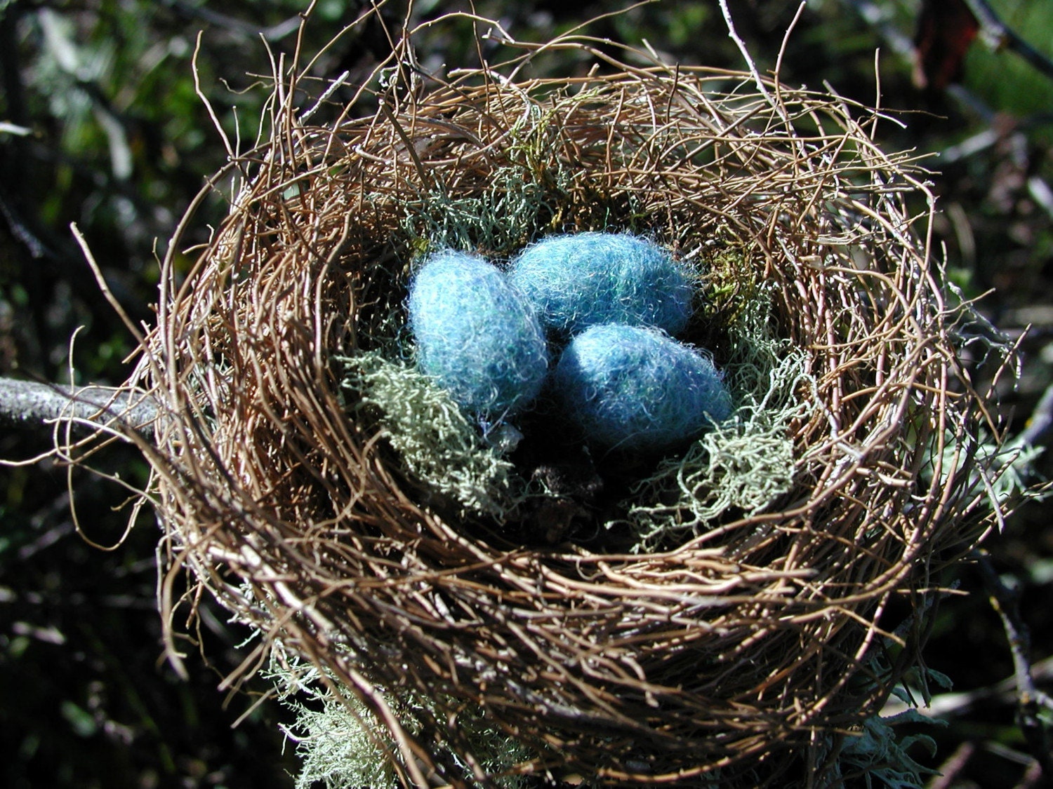 Handmade Birds Nest With Felted Wool Eggs by mountainhearth