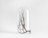 Vintage Glass Display Dome 7