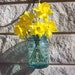 Small Hanging Mason Jar Pint vase or lantern, made from an antique Ball mason jar