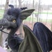 Wormwood, Soft Sculpture Dragon