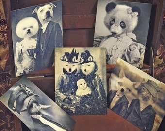 Set of 5 original Postcards - Mini Print Set N1 - anthropomorphic portrait black white panda bear cat chihuahua dogs wolf owl poodle
