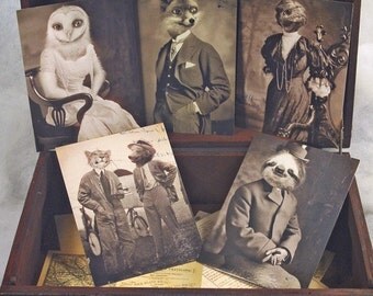 Set of 5 original Postcards - Mini Print Set N3 - owl fox turttle sloth bear leopard animal portrait old anthropomorphic