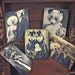 Set of 5 original Postcards - Mini Print Set N1 - anthropomorphic portrait black white panda bear cat chihuahua dogs wolf owl poodle