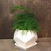 Geo planter Small - White