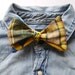 Mens Cotton Bow Tie Blue, Yellow, and Green from the Paul McCall Line for Men