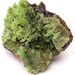 Pyromorphite Crystal Cluster on Matrix, Rough Stone, Apple Green Specimen from Daoping Mine, Guangxi, China