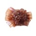 Aragonite Cluster Crystal, Rough Aragonite from Morocco, Sacral Chakra Stone, New Age Healing, Metaphysical Jewelry Supplies, 19.1 grams