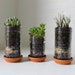 Mason Jar Planters With Drainage Set Of 5 UpCycled Jelly