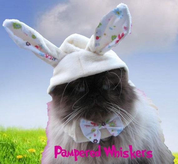 The Hopper Bunny Hat for cats and dogs