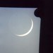 EnchantedMoon