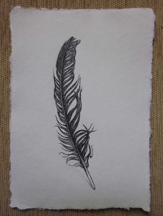 Feather Ink Drawing : Download Feather Clipart Pen And Ink - Quill ...
