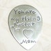 You Are My Rising Star ...Guitar Pick