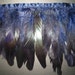 Coque feather fringe of navy irridescent 1 yards trim