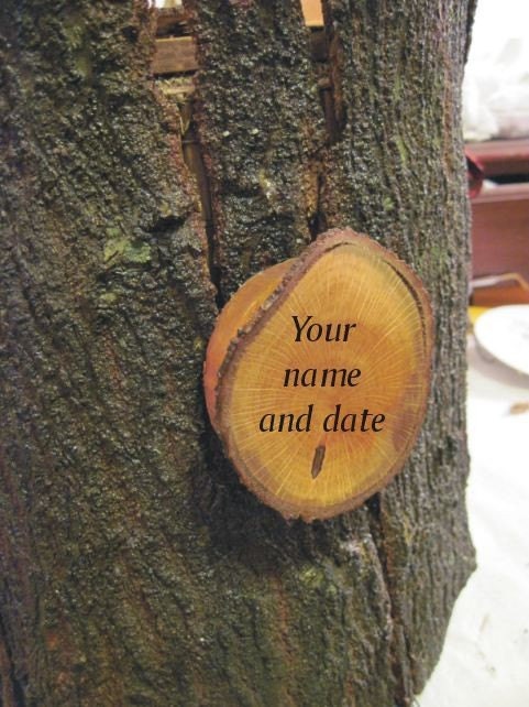 Tree Stump Wedding Card Envelope Box Card holder