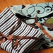 TO GO SET - Diaper\/Wipes Tote and Changing Pad for Boy or Girl in Blue and Brown