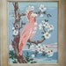 Large Vintage Paint by Number Painting, Framed, Cockatiel