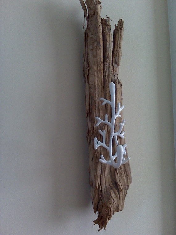 Driftwood Coral Wall Hook