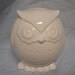 Baby Owl Bank