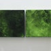 Living Room Art- Wall Art Living Room-Canvas Art- Green Mini Canvas Square 4x4