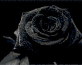 Items Similar To Black Rose Counted Cross Stitch Pattern On Etsy