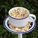 Cup and saucer birdfeeder poke
