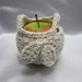 Crochet Fruit Cozy Apple Holder Bag Lunch Box Confetti yarn
