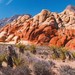 RuthintheDesert