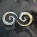 Spiral Shell 6Gauge