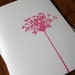 Hot Pink Queen Anns Lace Flower notecards - set of 5