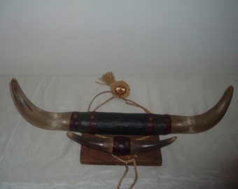 vintage mounted bull horns
