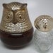 Vintage Owl Avon Glass Bottles Of Cologne Raining Violets Still Full Plus A Little Hootie Owl Collectible