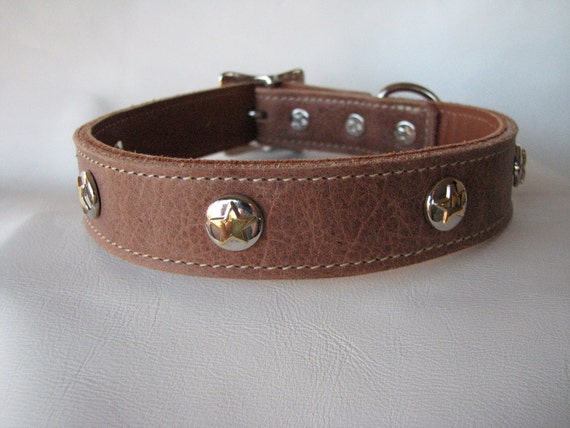 Custom Distressed Leather Dog Collar with Star Conchos