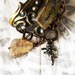 Amor Vincit Omnia Cuff