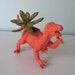 Upcycled Dinosaur Planter - Orange Raptor with Golden Sedum Succulent Plant