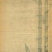 Shaved Wood Bamboo Paper - Japanese