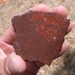 Dinosaur Bone Slabette Rare Gemmy Colorful