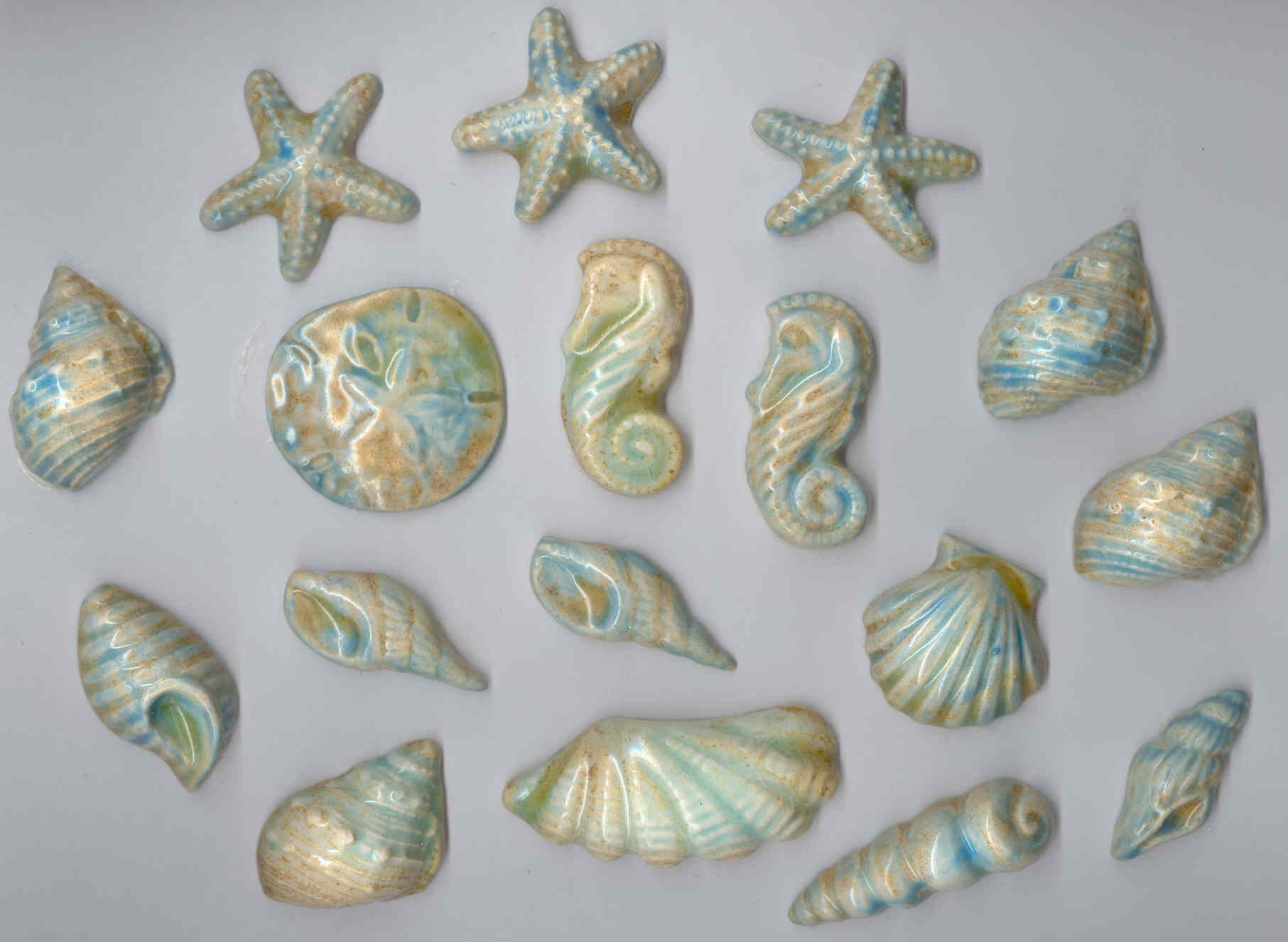 Ceramic 3D Sea Shells...Mosaic Tile