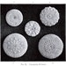 Crochet Buttons Antique Vintage 1912 Irish Crochet PDF Pattern