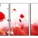 Poppy Flower Nature LARGE Photo Painting Canvas Art Print FRAMED Ready to Hang - 3 PANELS