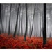 Forest Leaves Nature LARGE Photo Painting Canvas Art Print FRAMED Ready to Hang - 1 PANEL