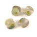 Lily Pond Lampwork Glass Beads by Emma Ralph SRA - Muted Colours with Matte Finish