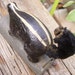 Little Metal Skunk