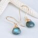 14kt Yellow Gold Fill and Hand Wrapped Labradorite Earring Dangles - Blue Flash
