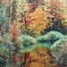 Vintage 11X14 Fine Art Photograph Autumn Fall Foliage Nature Photography Landscape