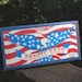 Pencil case, Blue and Red with Eagle, stars and stripes, Snap shut