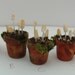 1/12 scale dolls house miniature pot of mushrooms E