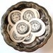 Set of 10 Compass Tags