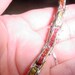 A Multicolored sapphire Bracelet in Orange,red, and yellow sapphires with Safety chain item # 437233