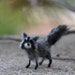 Needle Felted Animals- 1/12 needlefelted raccoon--needle felt by Daria Lvovsky